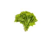 野菜画像
